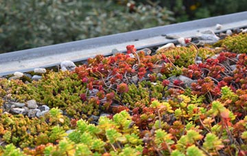 the cost of Upper Sanday green roof installation