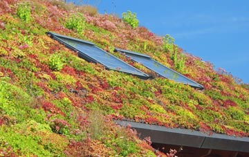 Upper Sanday living roof systems