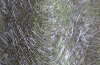 Upper Sanday fibreglass roof work